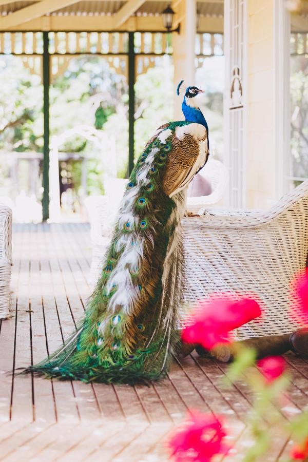Dalblair Bed & Breakfast Seville ภายนอก รูปภาพ